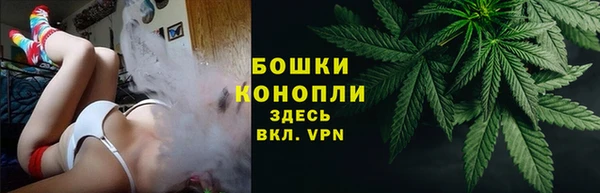 гашик Гусь-Хрустальный