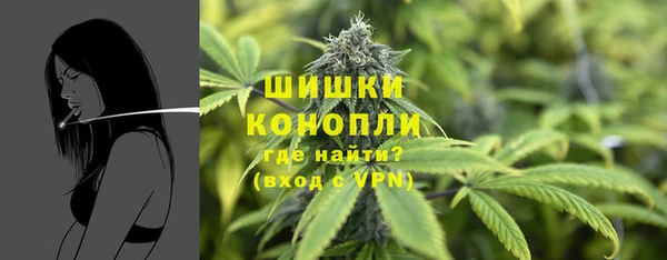 спиды Гусев