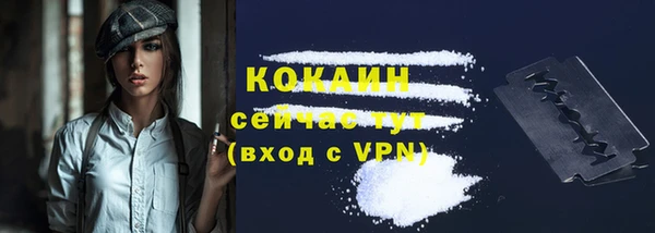 спиды Гусев