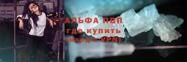 спиды Гусев