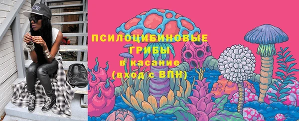 крисы Гусиноозёрск