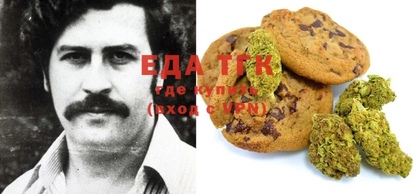 спиды Гусев