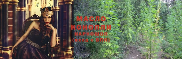 крисы Гусиноозёрск