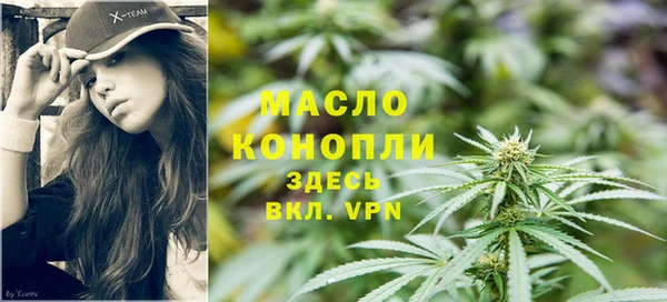 гашик Гусь-Хрустальный