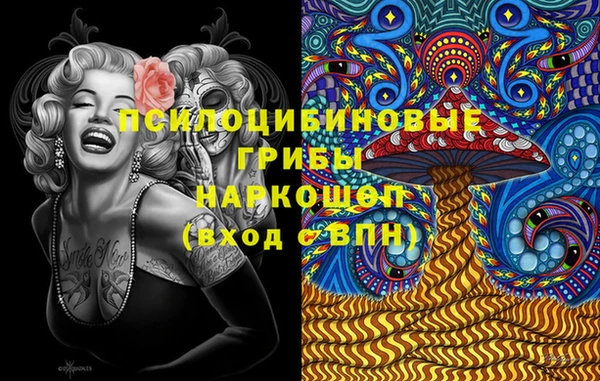 крисы Гусиноозёрск