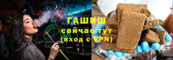 гашик Гусь-Хрустальный
