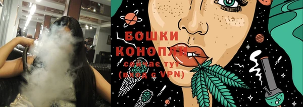 спиды Гусев